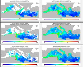 ISMAR Satellite Data Viewer